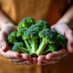 Guide simple pour cuisiner le brocoli frais chez soi