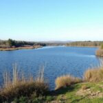 Découverte du Lac de Fargues à Montgaillard et Saint Hilaire : guide du parcours et retour d'expérience