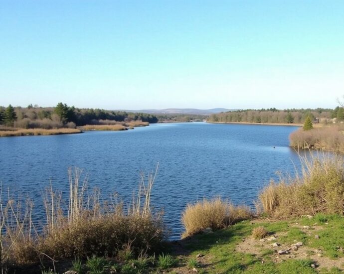 Découverte du Lac de Fargues à Montgaillard et Saint Hilaire : guide du parcours et retour d'expérience